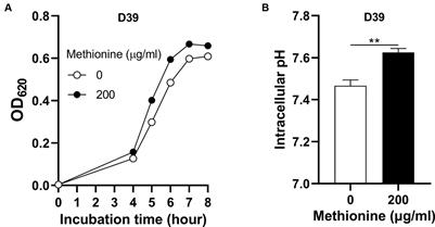 Glutamine enhances pneumococcal growth under methionine semi-starvation by elevating intracellular pH